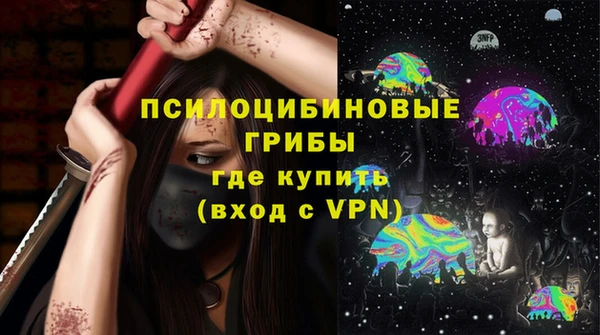 амф Аркадак