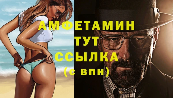 амф Аркадак
